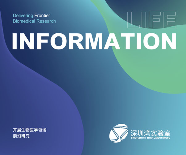 ?上海團隊煥新葡萄酒體驗的品牌形象與包裝設計